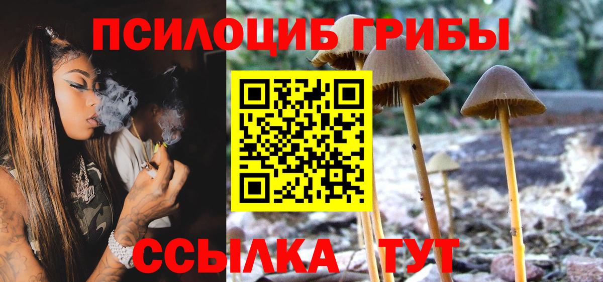 Нефтеюганск  наркота  Вход с VPN  Галлюциногенные грибы Psilocybe 