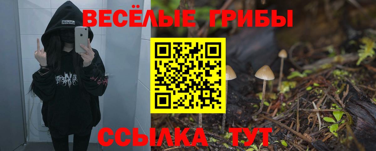 Альфа ПВП Нефтеюганск